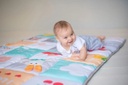 Alfombra Didactica Colores Suaves Taf Toys