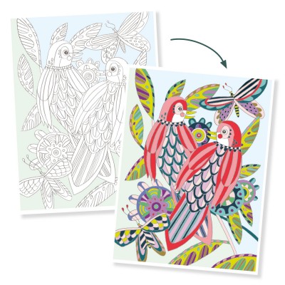 Birds Djeco