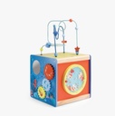 Activity Cube Les Aventures De Paulie Moulin Roty