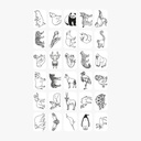 Refil Draw Mini Animals-Ocean &amp; Pirates Kidywolf