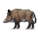 Boar Safari