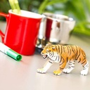 Bengal Tiger Safari
