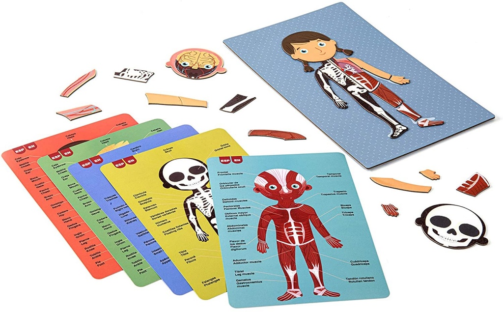 Juego magnetico Cuerpo Humano Apli