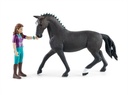 Horse Club Lisa &amp; Storm Schleich