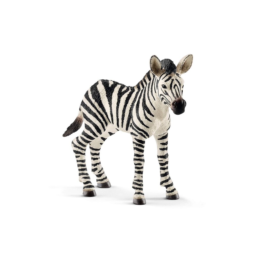 Zebra Foal Schleich