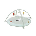 Activity Play Mat With Arches - Mr. Polar Bear Trixie