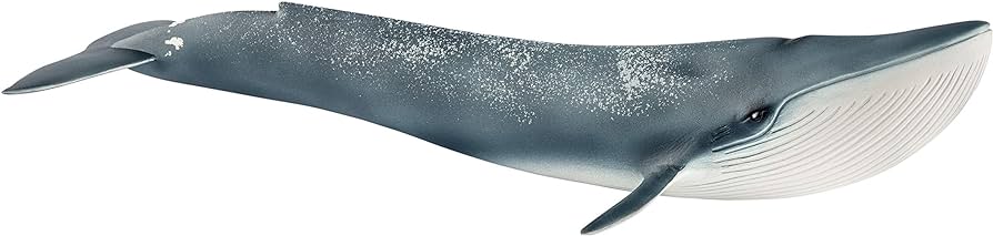 Blue Whale Schleich