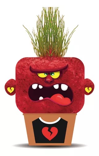 Plant Pals - Angry Annie Hape