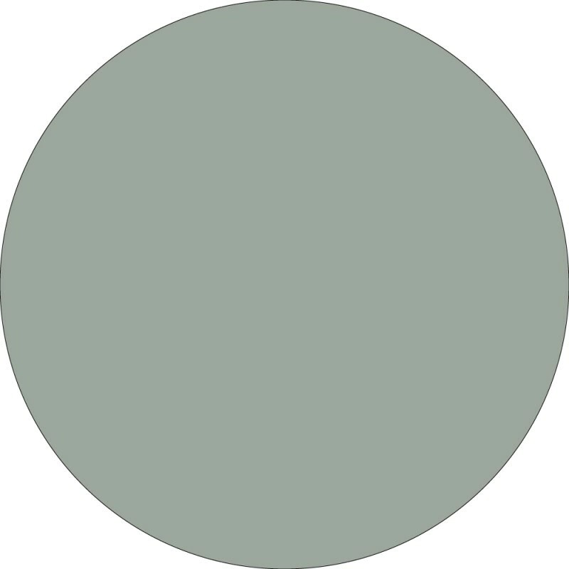 Individual Liso Circular - Verde Pistacho Mister Kook