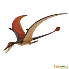 Rhamphorhynchus Safari
