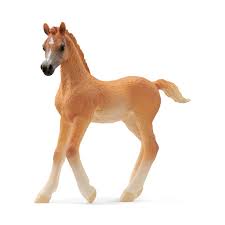 Arabian Foal Schleich