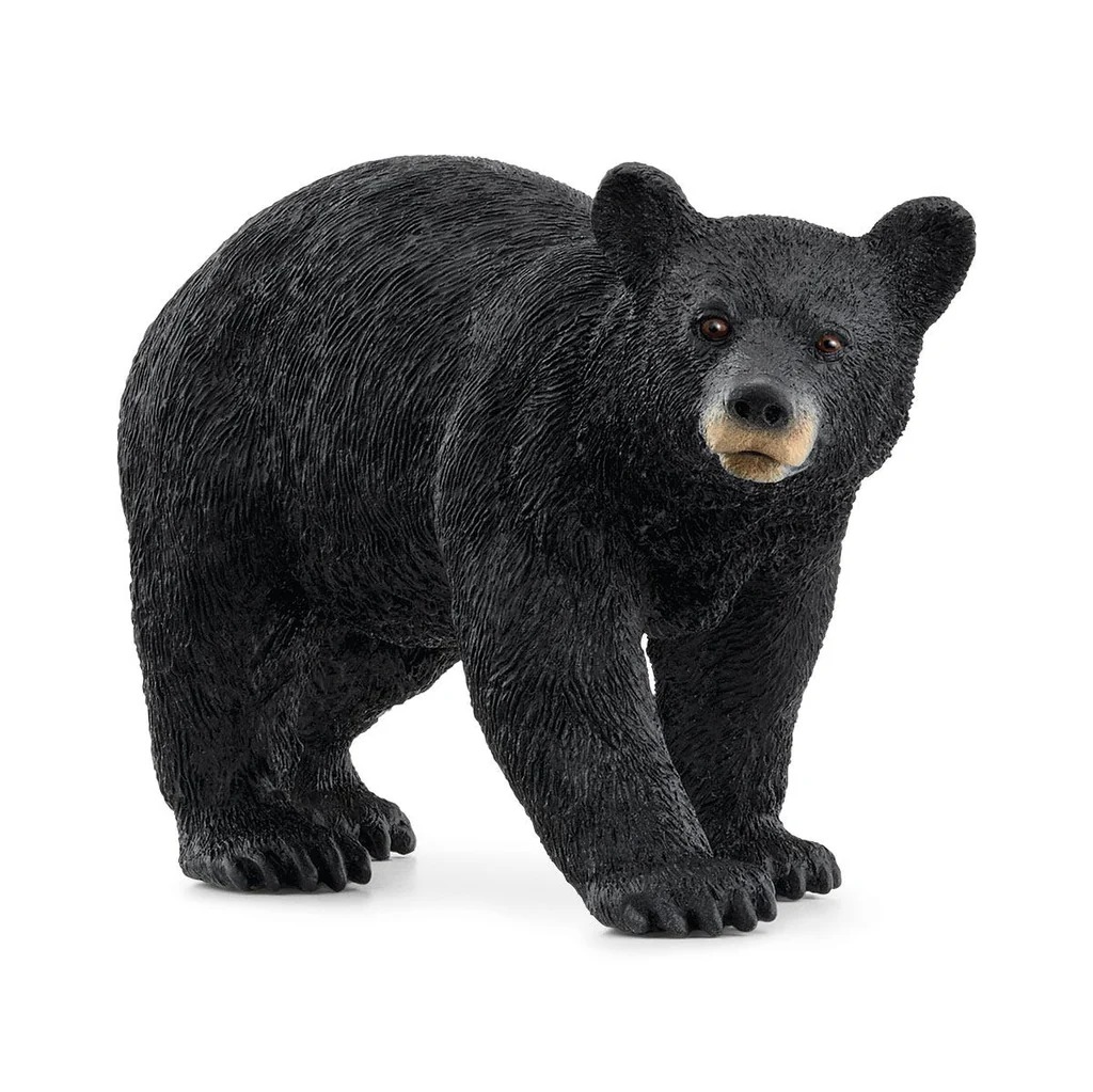 American Black Bear Schleich