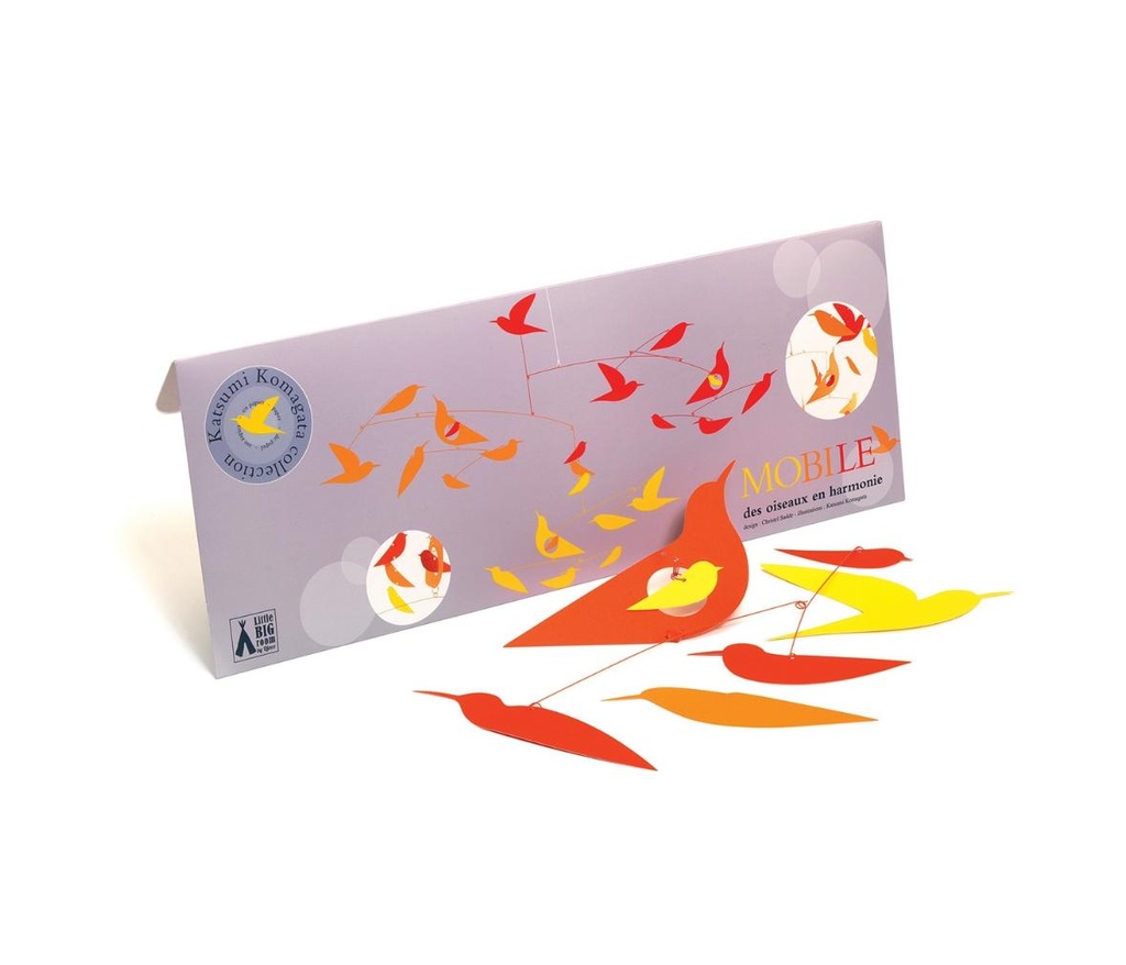 Birds (Fsc) Little Big Room By Djeco