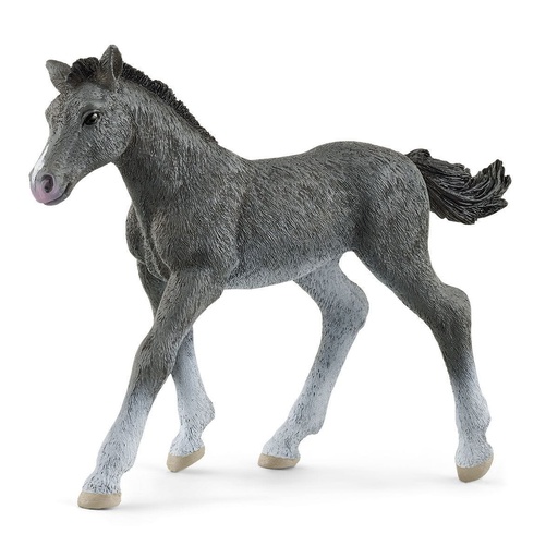 [13944] Trakehner Foal Schleich