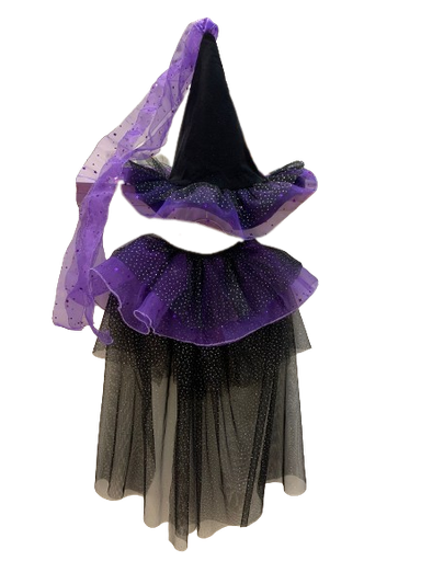 [OJO61] Disfraz Bruja Brillante violeta Ojos Grandes