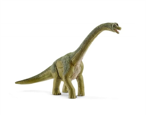 [14581] Brachiosaurus Schleich