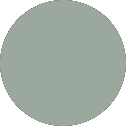 [INC-VEPIS] Individual Liso Circular - Verde Pistacho Mister Kook