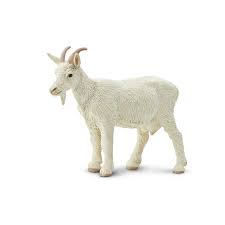 [095866161101] Nanny Goat Safari