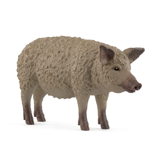 [4059433762227] Mangalica Schleich
