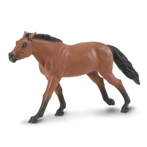 [157705] Thoroughbred Stallion Safari
