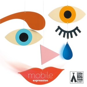 [DD04364] Expression  Little Big Room By Djeco