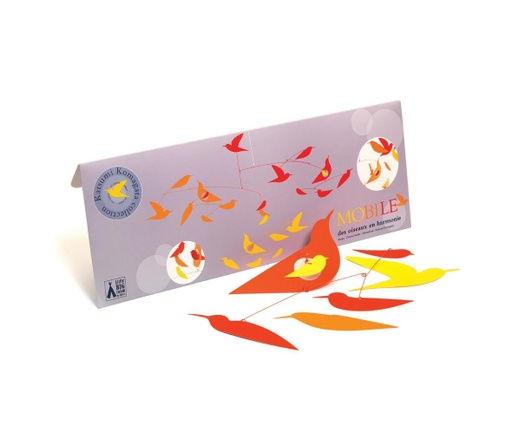 [DD04370] Birds (Fsc) Little Big Room By Djeco