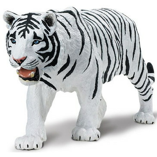 [112089] White Siberian Tiger Safari