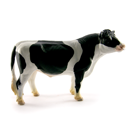 [246929] Holstein Bull Safari