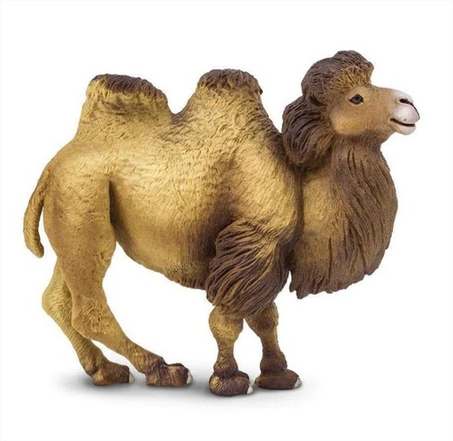 [290929] Bactrian Camel Safari