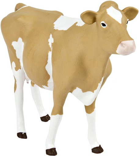 [162029] Guernsey Cow Safari