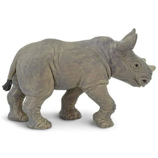 [270329] White Rhino Baby Safari