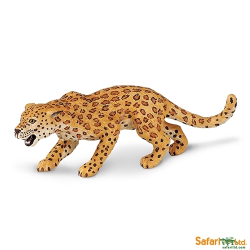 [271529] Leopard Safari